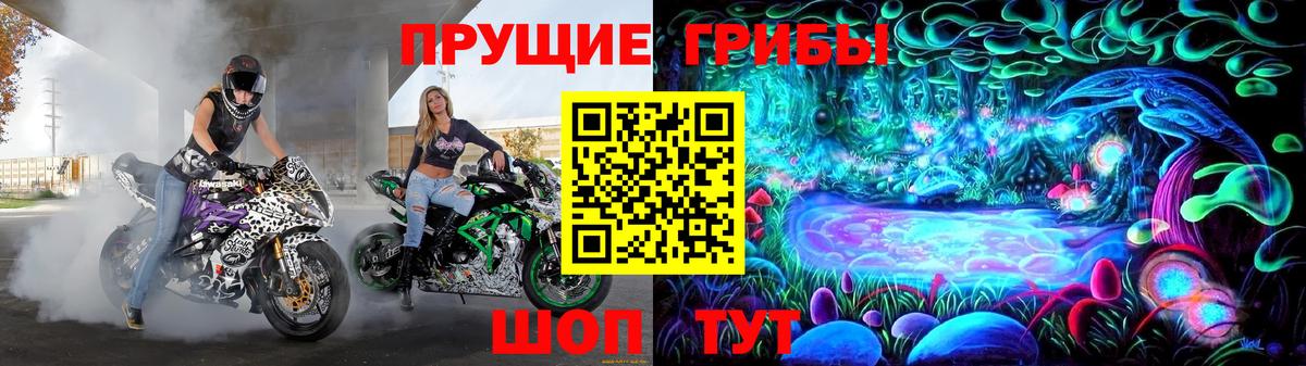 хочу наркоту  Вход с VPN  Славгород  Псилоцибиновые грибы Cubensis 